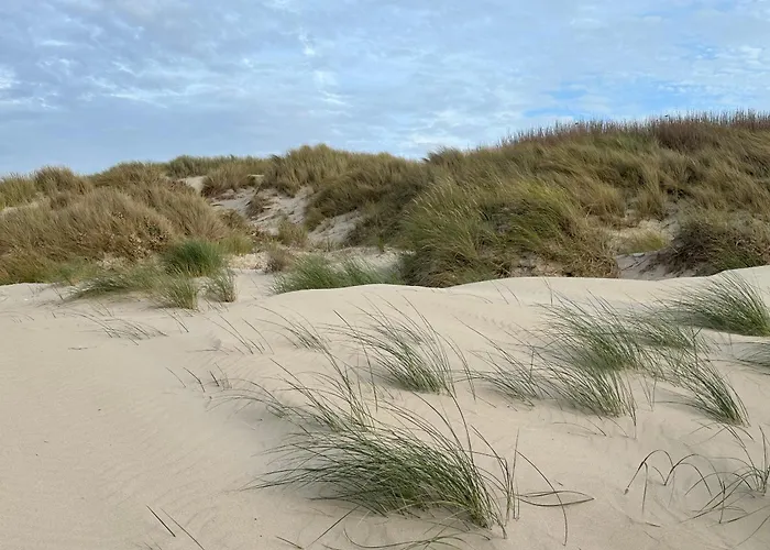 Sunlight 10 Mn Berck Le Touquet